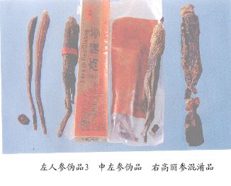 配齐配强科学、体育等专科教师