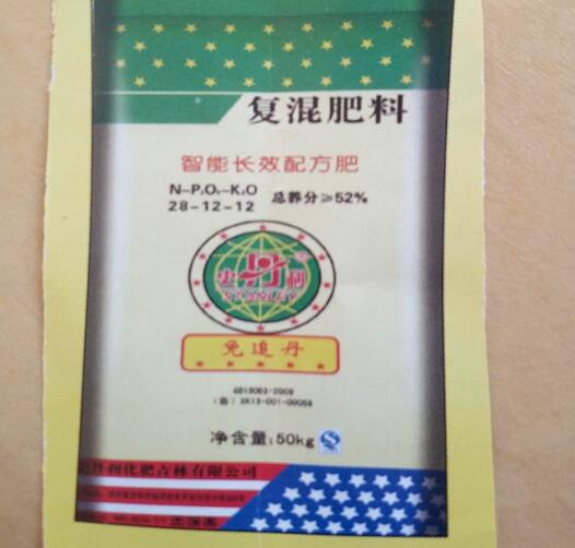 打造“艺术洪江”品牌